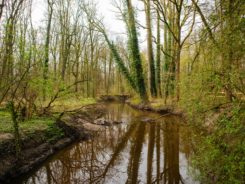 Beeklandschap