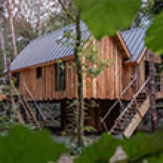 Afbeelding voor Booking.com - Boomhut Oisterwijk
