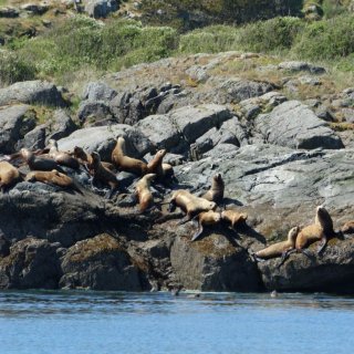 Afbeelding voor Vancouver Island