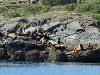 Afbeelding voor Vancouver Island