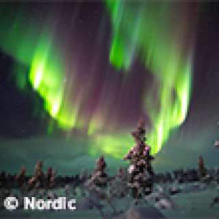 Afbeelding voor Nordic - Met korting naar Lapland!