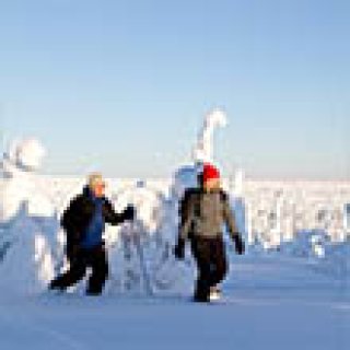 Afbeelding voor Nordic - € 250,- korting op winterreis Ruka