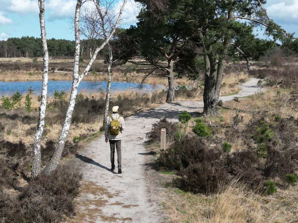 Wandelroute Kalmthoutse Heide