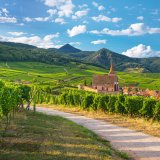 Afbeelding voor De Elzas