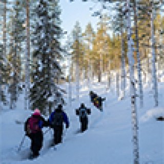 Afbeelding voor Sisutrek - Ski & Pulka expeditie Hossa