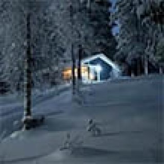 Afbeelding voor Erämökki Villa