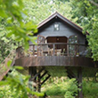 Afbeelding voor Booking.com - Moderne tree houses