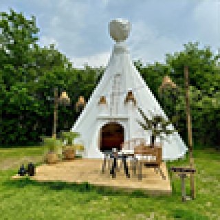 Afbeelding voor Mini-glamping met alpaca's