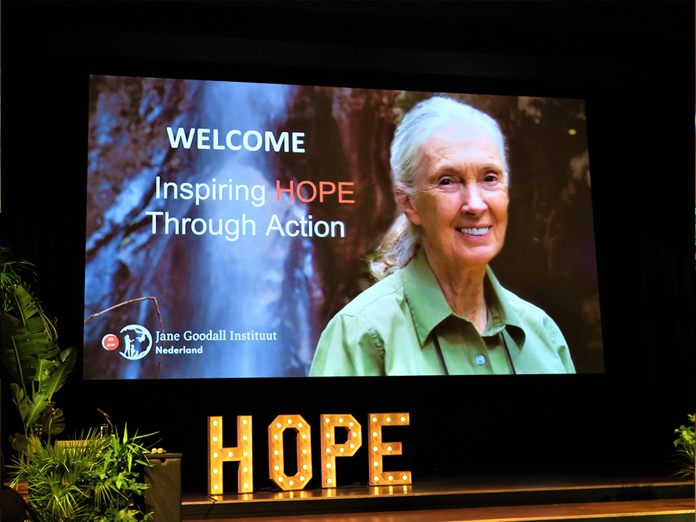 An afternoon of hope met Dr. Jane Goodall