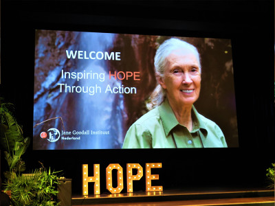 Afbeelding bij Jane Goodall
