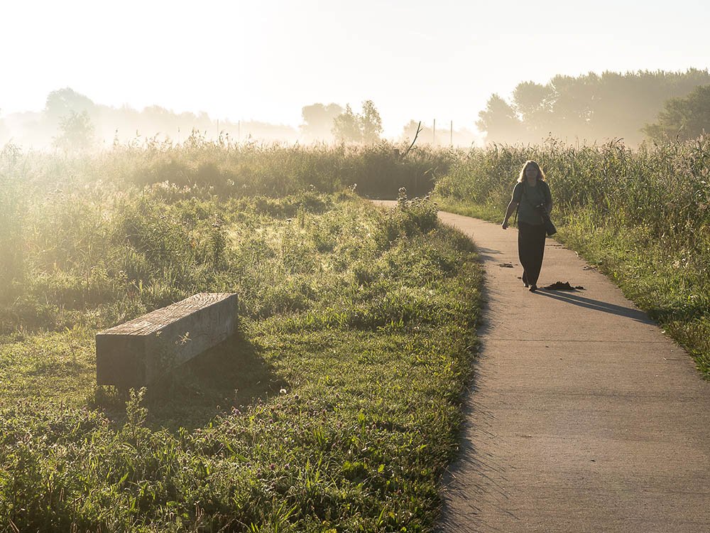Wandelen en vogels spotten
