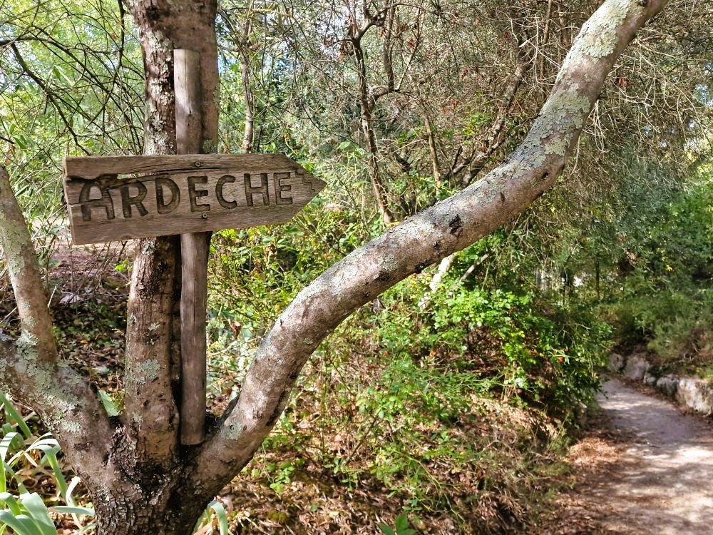 Richting de rivier