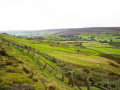 Landschap NYM