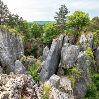 Afbeelding voor Natuurpark Viroin-Hermeton