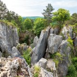 Afbeelding voor Natuurpark Viroin-Hermeton