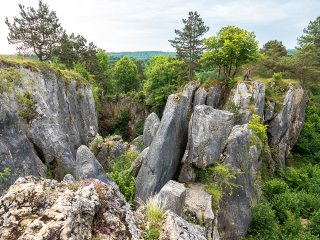 Afbeelding voor Natuurpark Viroin-Hermeton