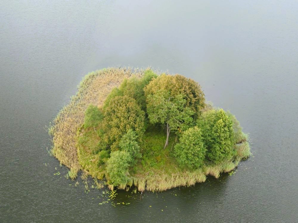 Eilandje in het meer