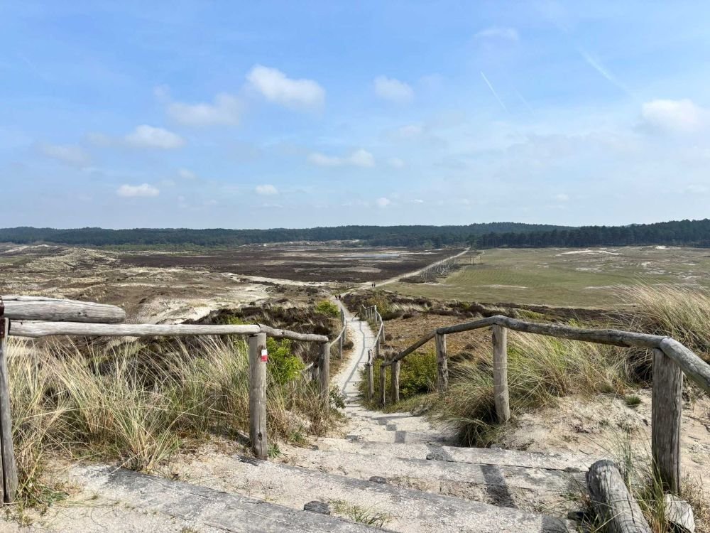 Uitzichtpunt Zwarte Blink