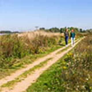 Afbeelding voor SNP - Wandelen Rijk van Nijmegen