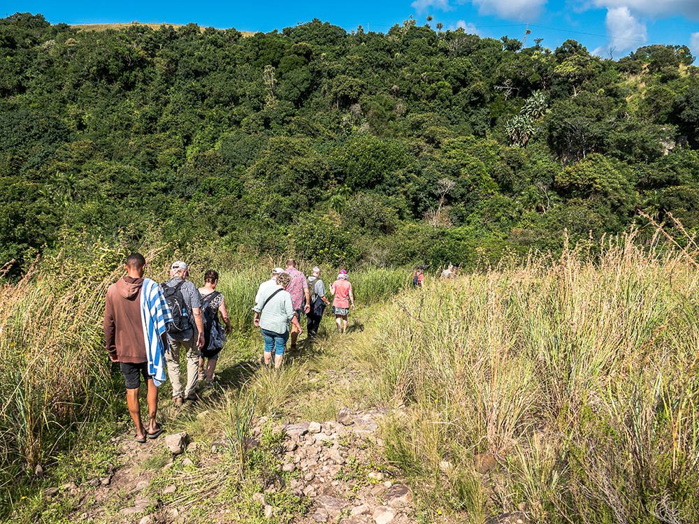 Wandelen in de jungle