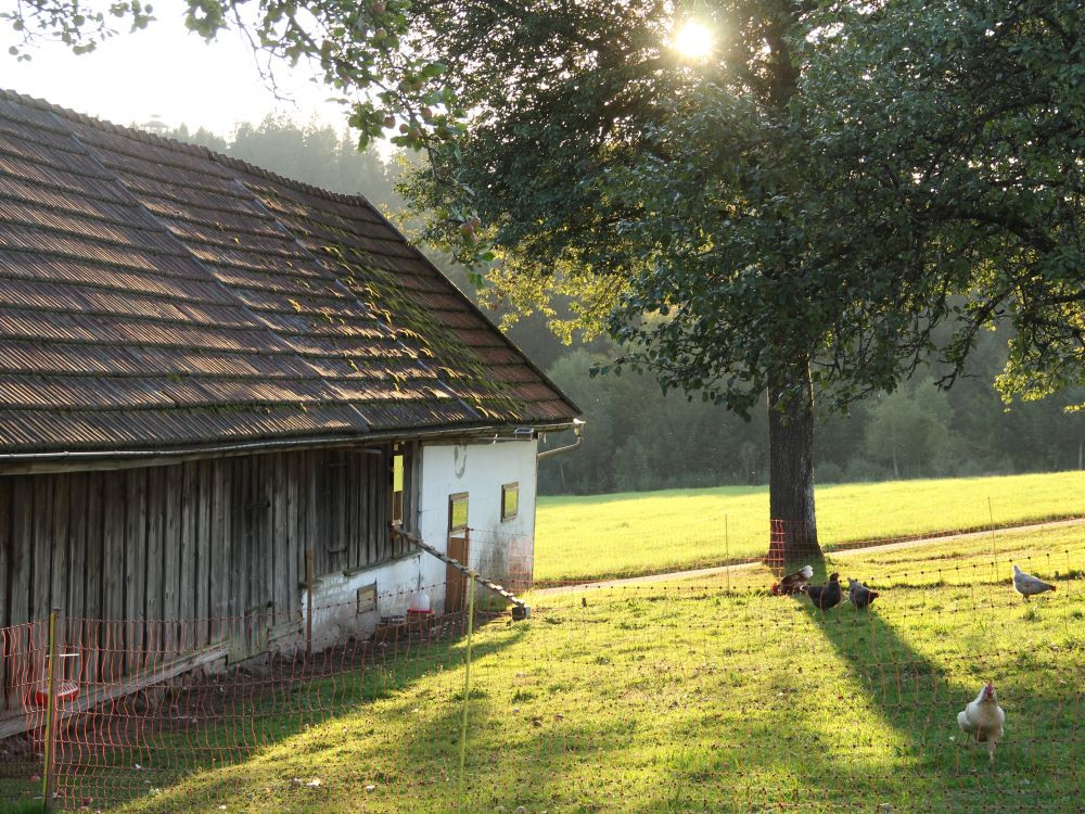 Oude boerderij