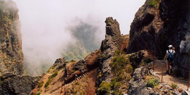 Afbeelding voor STAP Reizen - Trektocht Madeira (uniek)