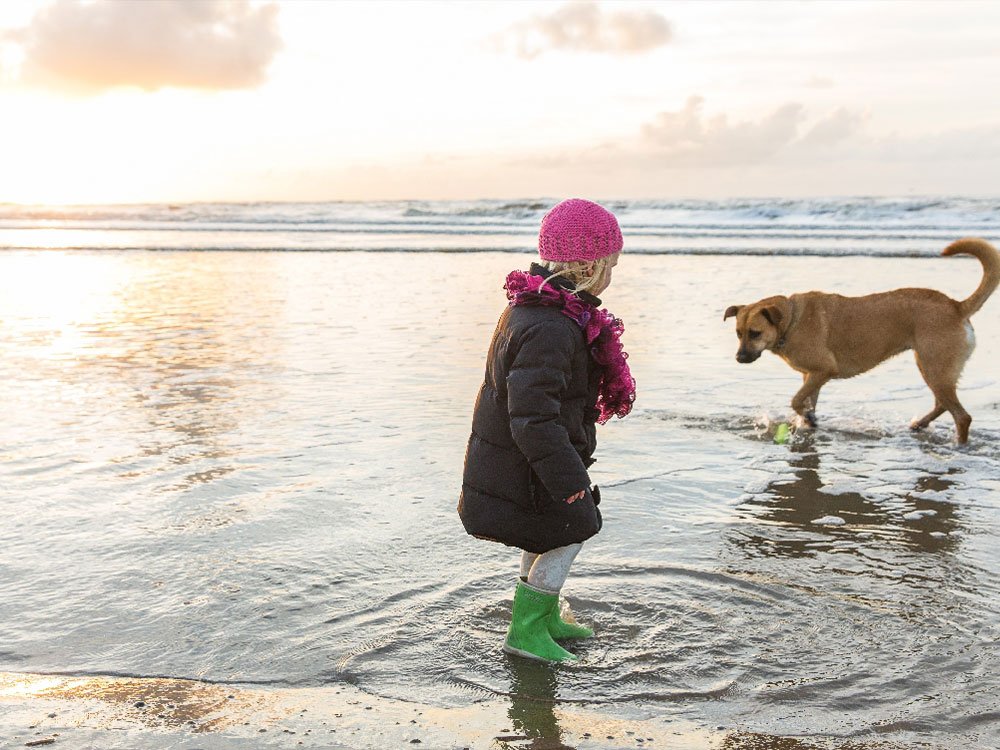 Winterse vakantie Landal