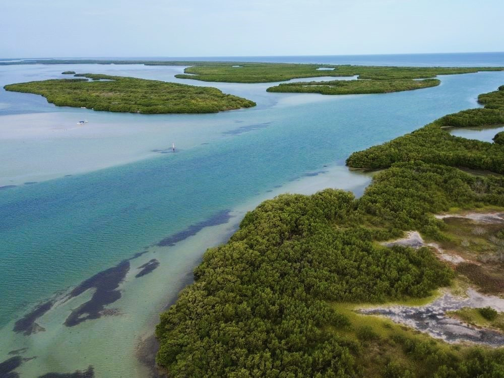 Natuurgebied Mexico