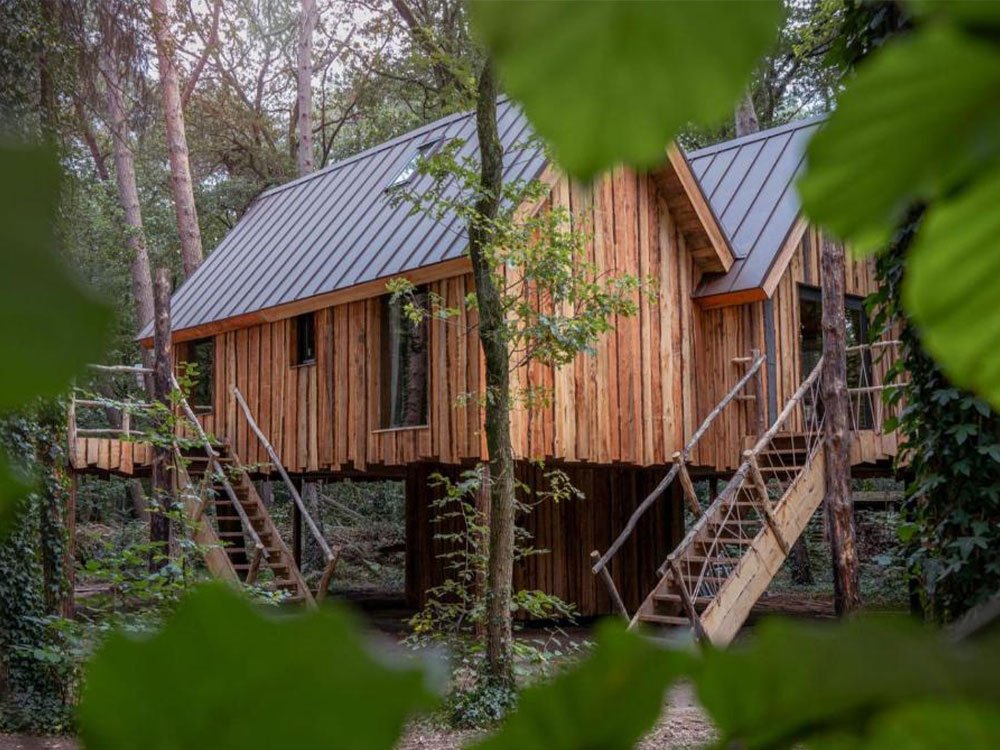 Overnacht in een boomhut!