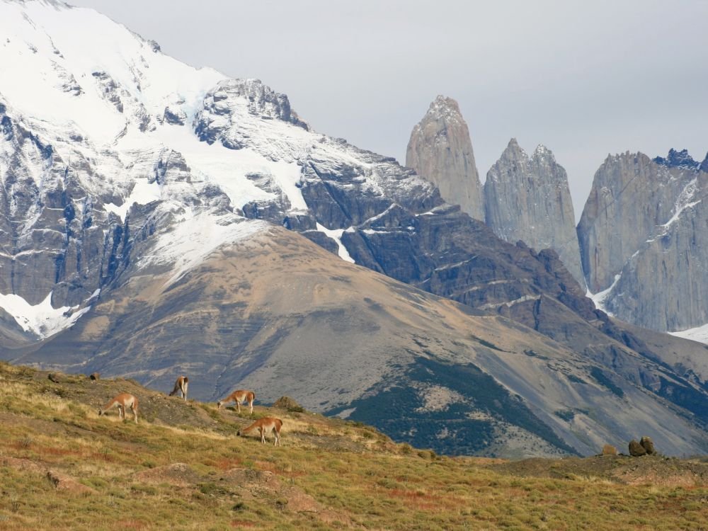 Torres del Paine