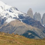 Afbeelding voor Wandelen in Patagonië