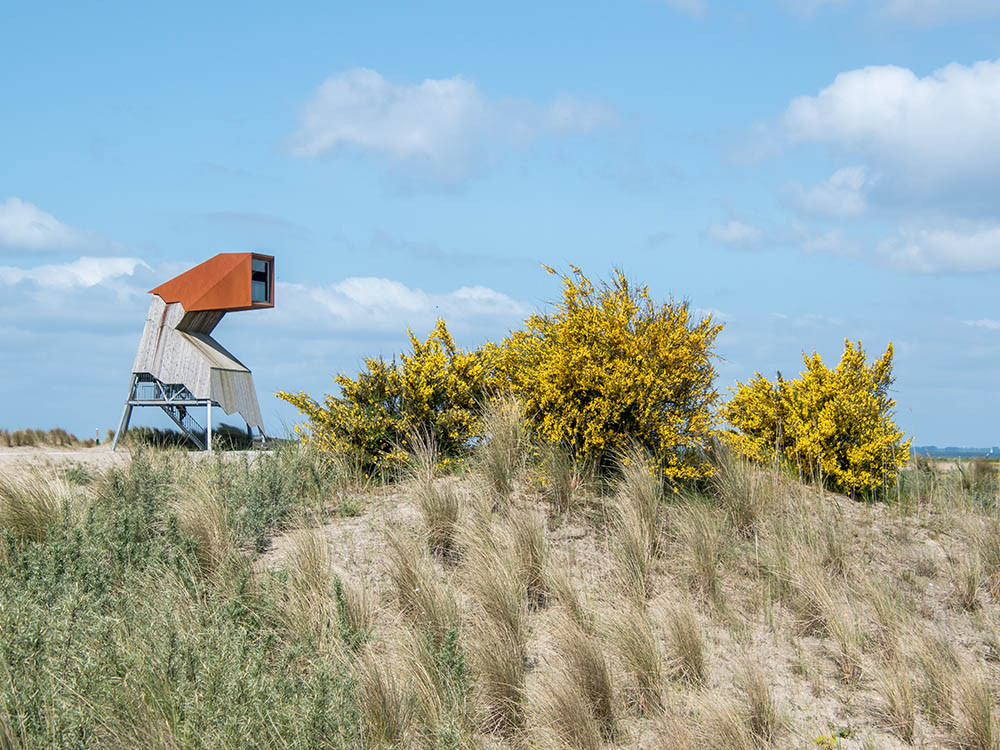 Marker Wadden