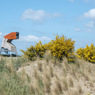 Afbeelding voor Marker Wadden