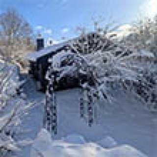 Afbeelding voor Tilli's Haus