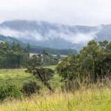 Afbeelding voor eSwatini