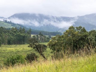 Afbeelding voor eSwatini