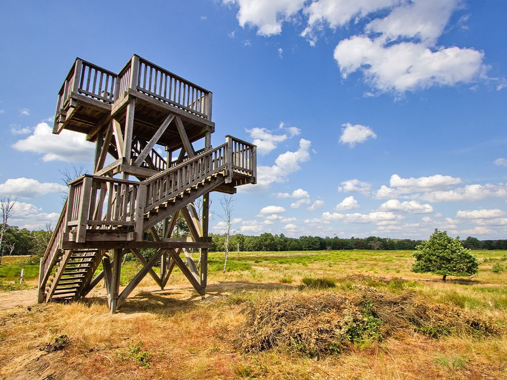 Uitkijktoren Meinweg