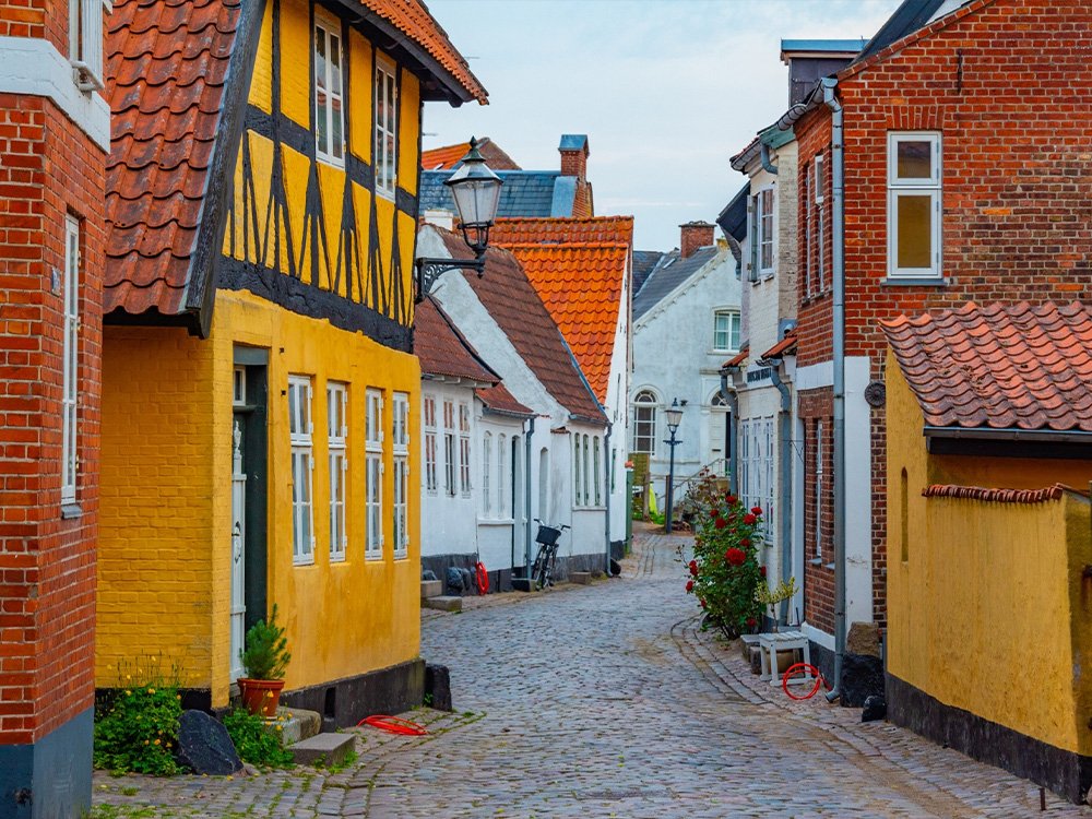 Ribe