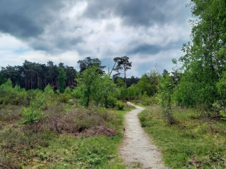 Afbeelding voor Landschap De Liereman