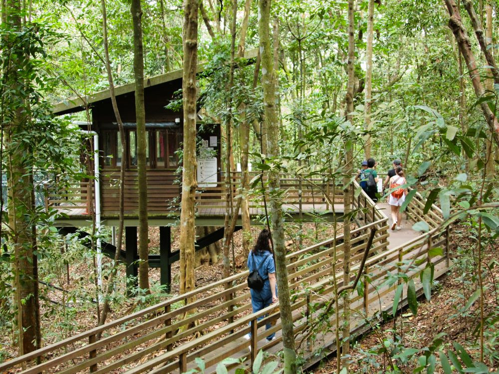 MacRitchie Reservoir