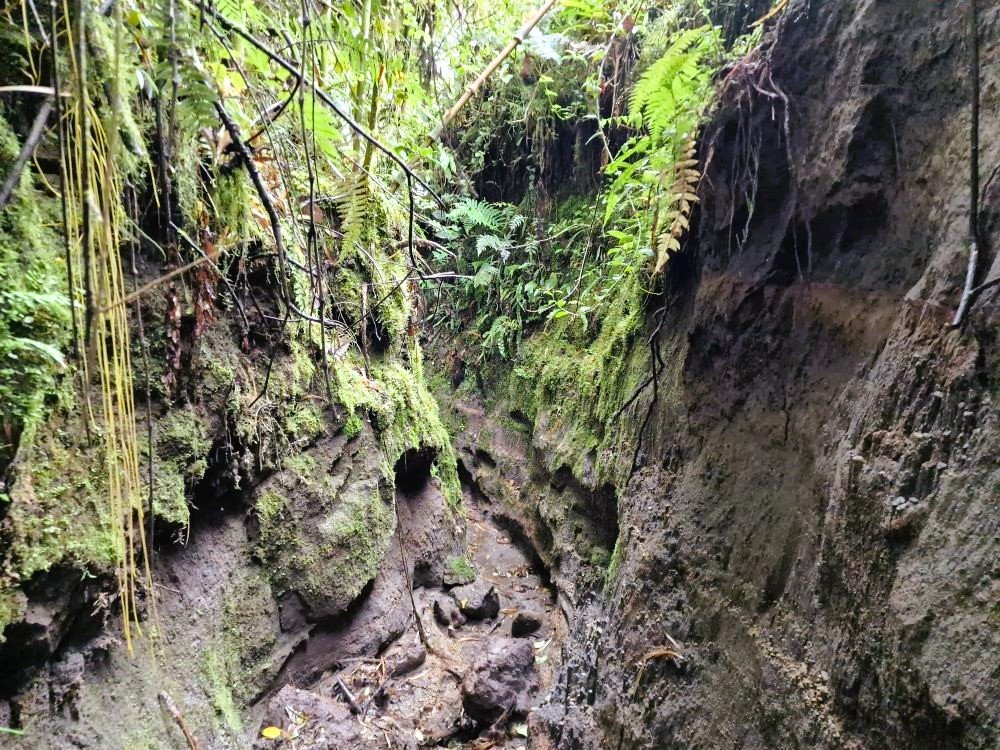 Inca Trail