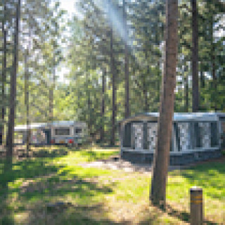 Afbeelding voor Landal Camping - Op de Veluwe