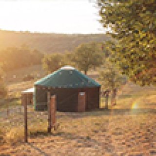 Afbeelding voor Booking.com - Yurt tussen de paarden