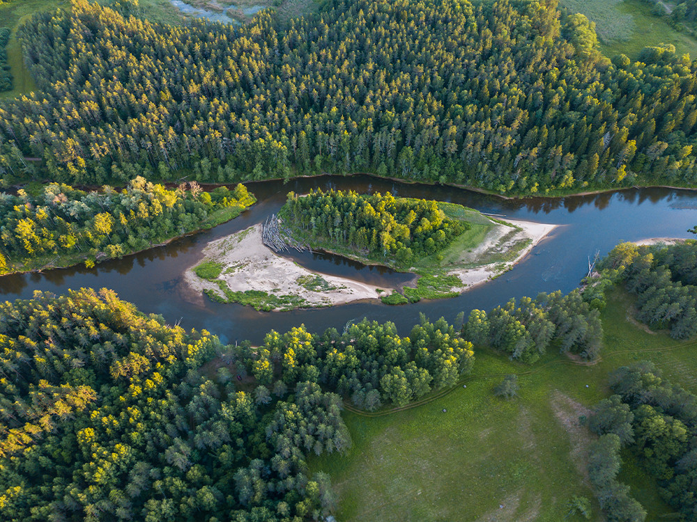 Gauja National Park