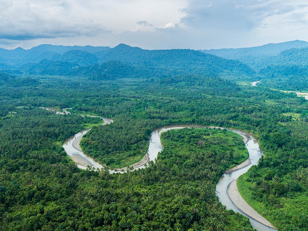 Natuur op de Molukken