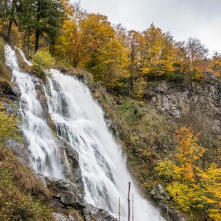 Afbeelding voor Watervallen in het Zwarte Woud