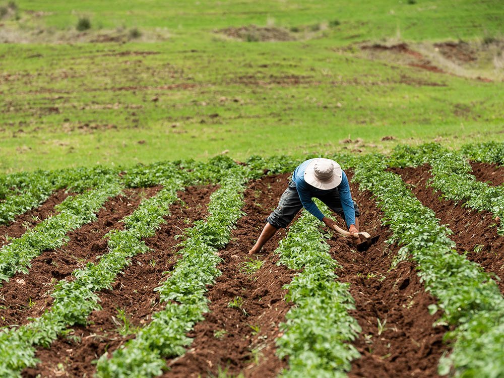 wAARDEvol reizen in Peru
