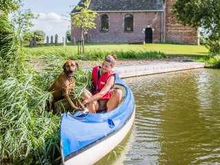 Afbeelding voor Lente in Friesland