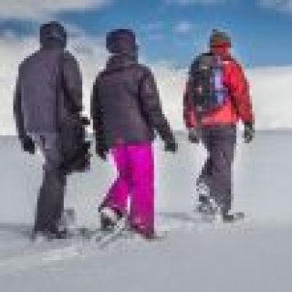 Afbeelding voor Oceanwide-Expeditions - Arctische gebieden