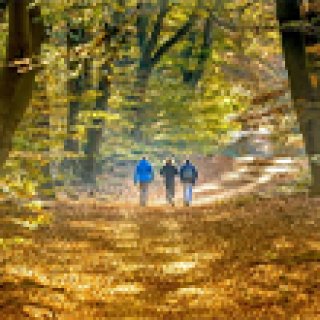 Afbeelding voor Bookatrekking - Veluwe wandeltochten